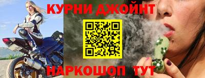 СК Бердск