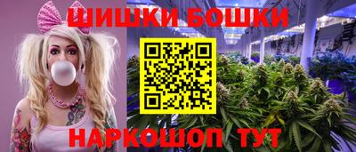 шишки Ачхой-Мартан