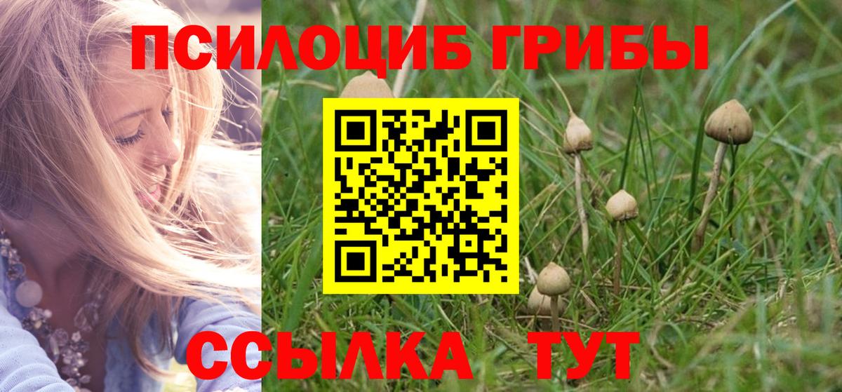 Псилоцибиновые грибы мицелий Краснодар